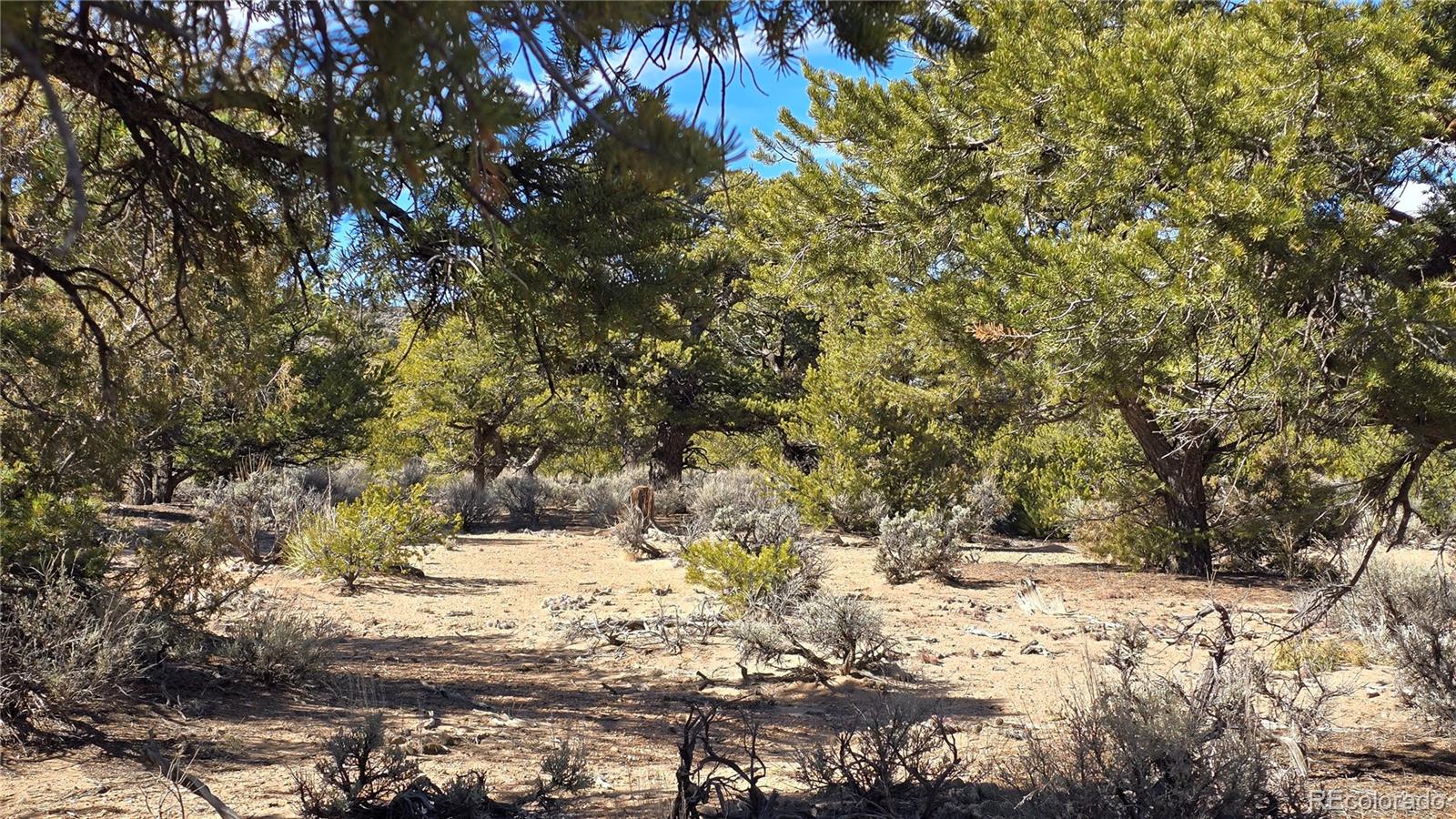 Lot 409 Williams Road Fort Garland CO 81133