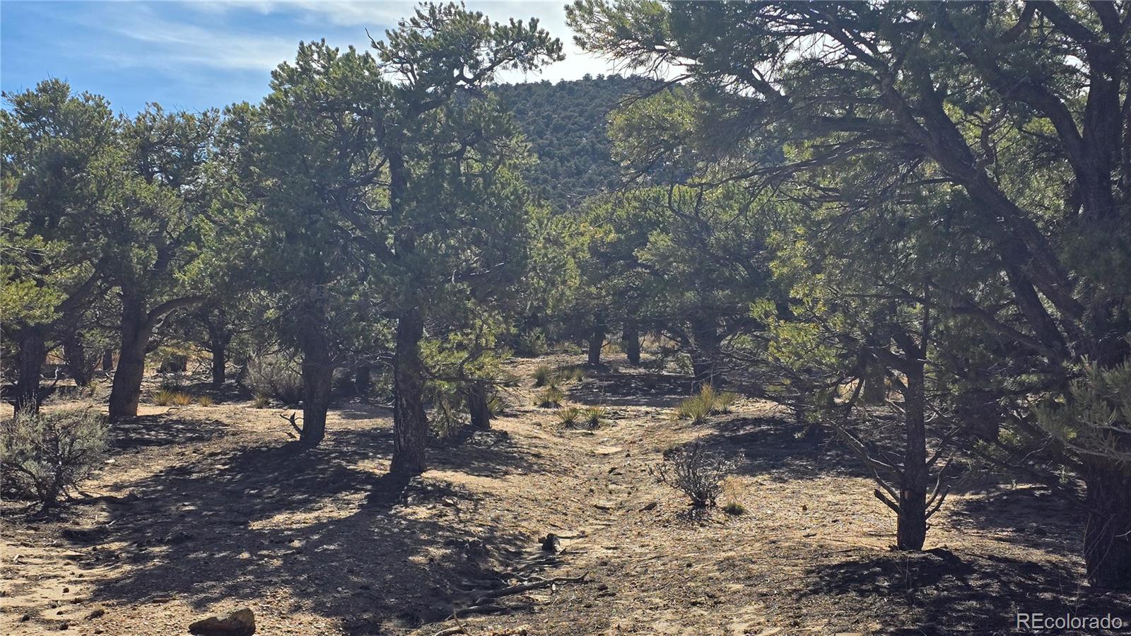 Lot 409 Williams Road Fort Garland CO 81133
