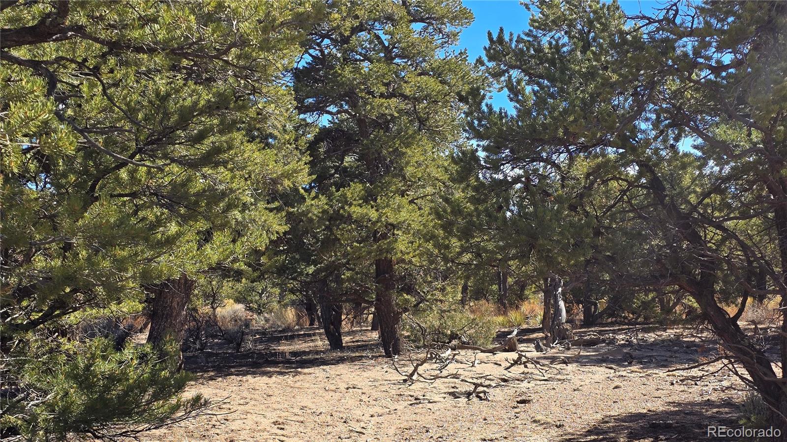Lot 409 Williams Road Fort Garland CO 81133