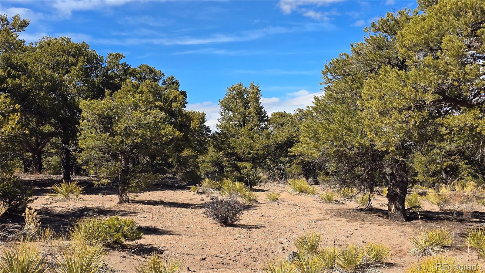Lot 409 Williams Road Fort Garland CO 81133