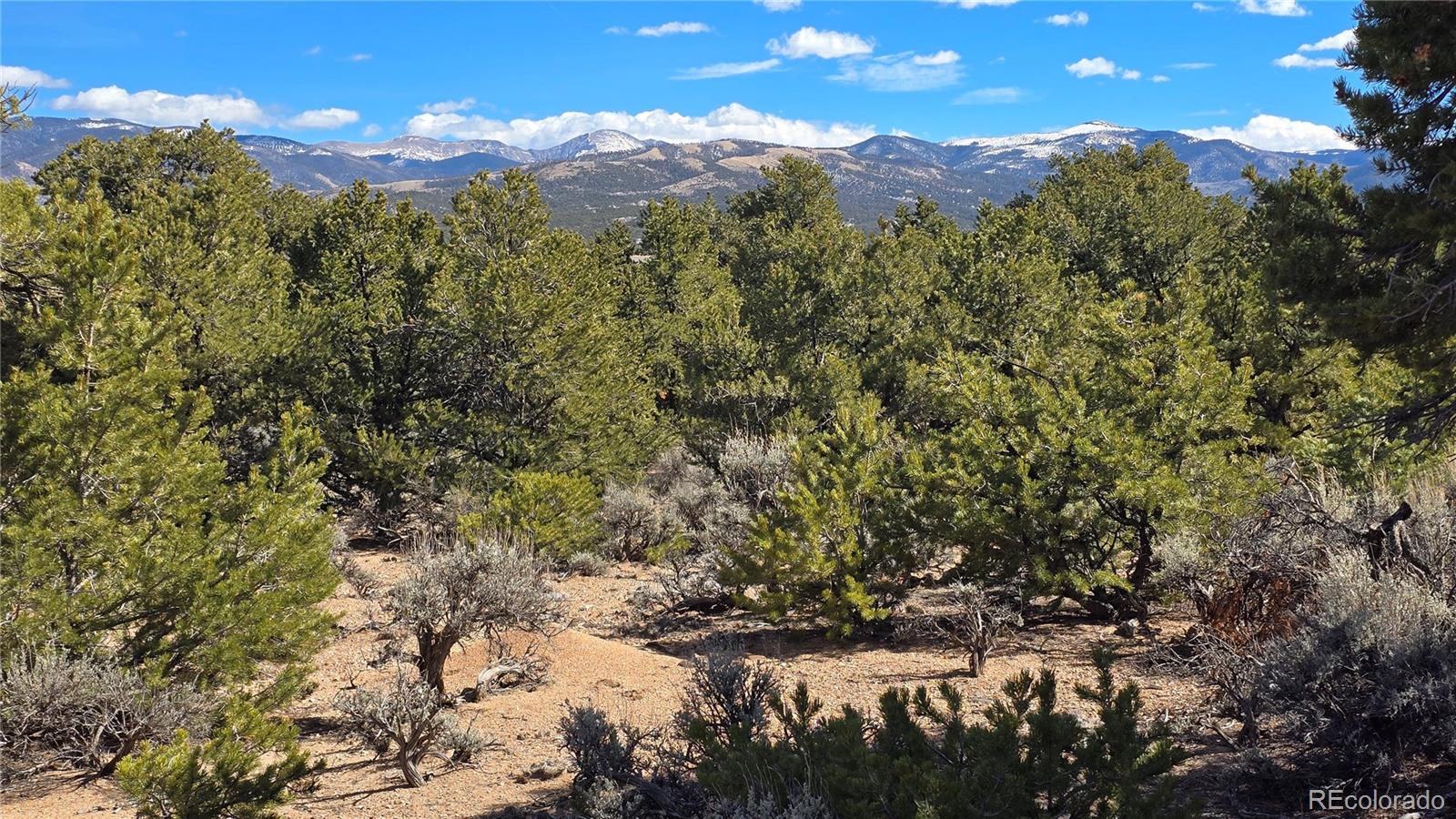 Lot 409 Williams Road Fort Garland CO 81133