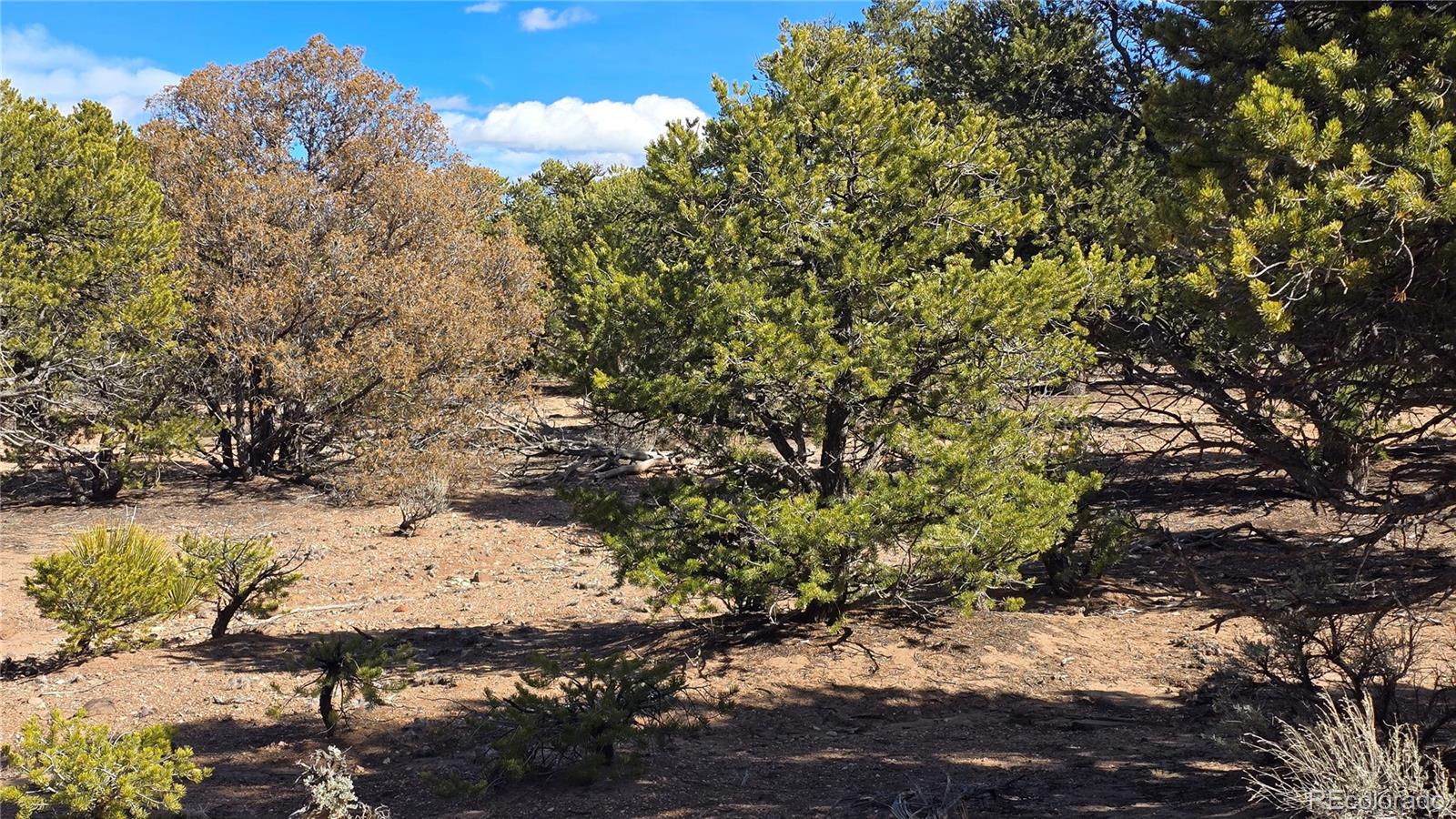Lot 409 Williams Road Fort Garland CO 81133