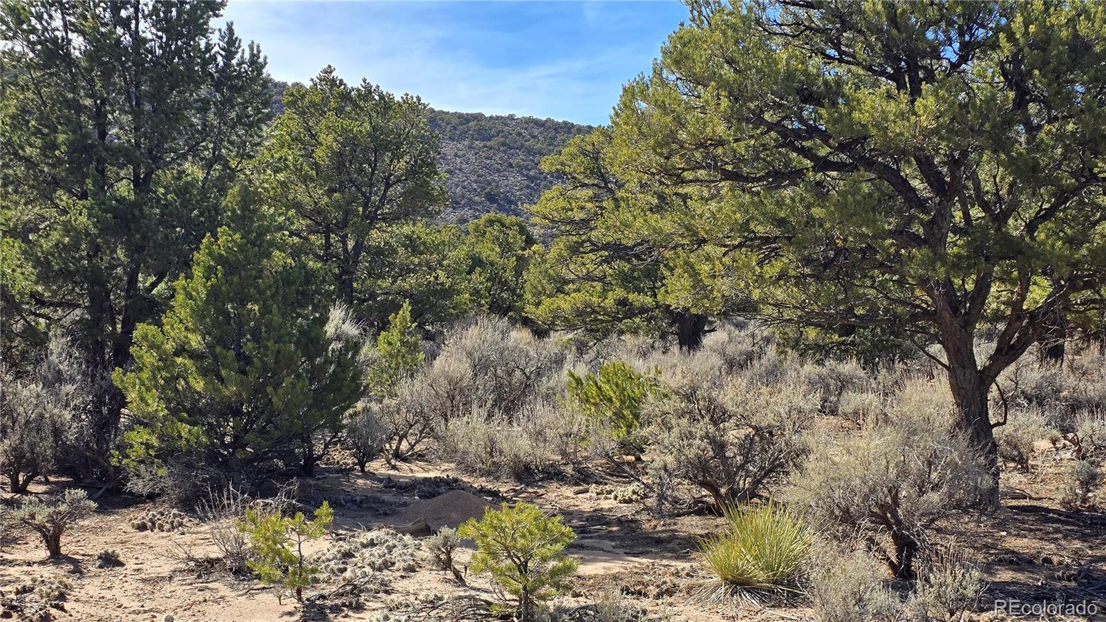 Lot 409 Williams Road Fort Garland CO 81133