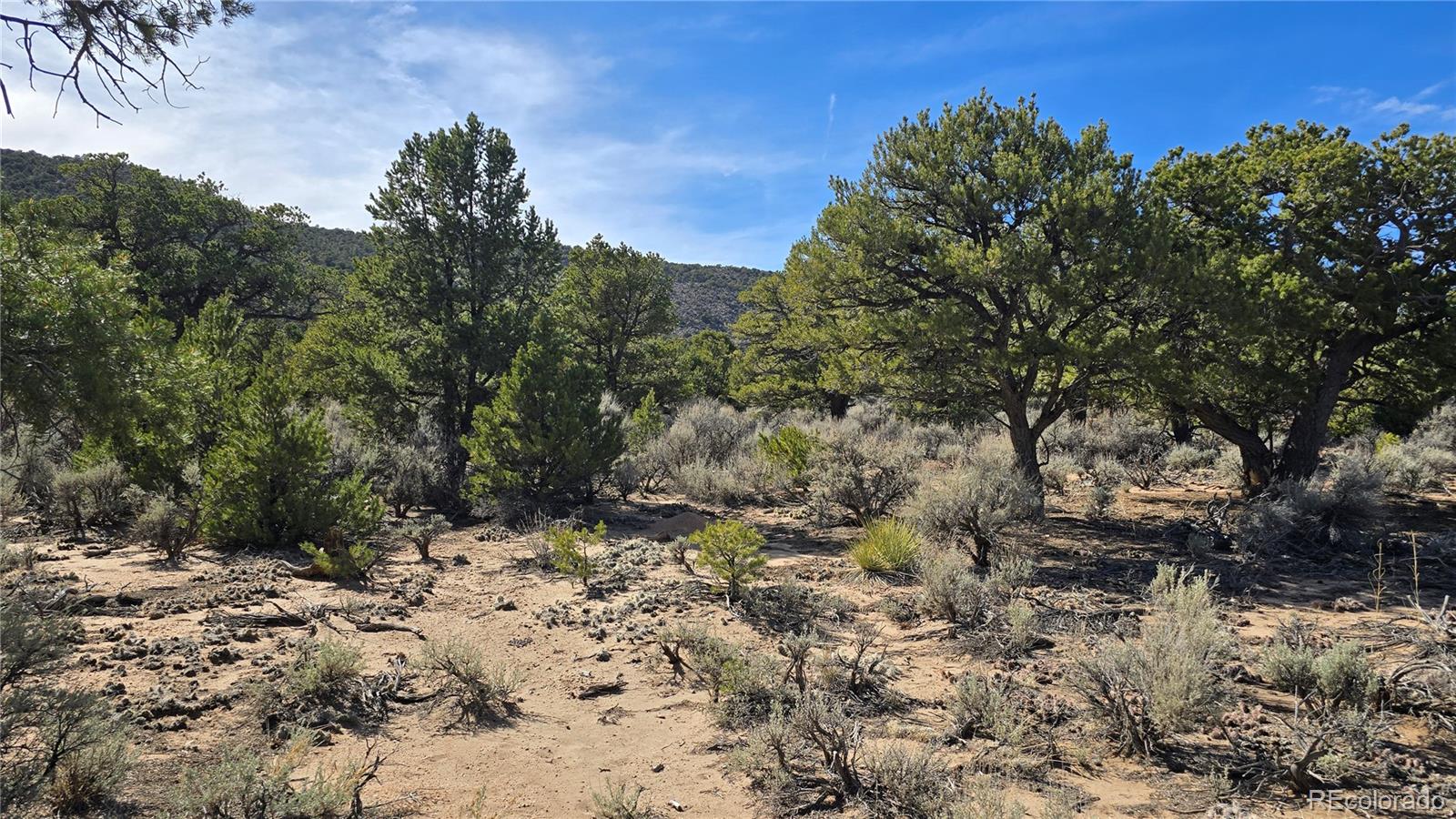 Lot 409 Williams Road Fort Garland CO 81133