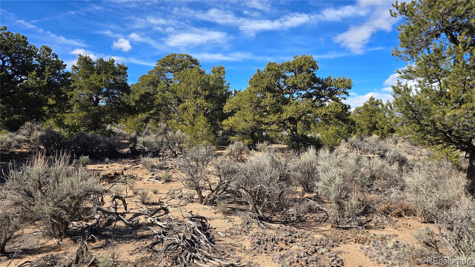 Lot 409 Williams Road Fort Garland CO 81133
