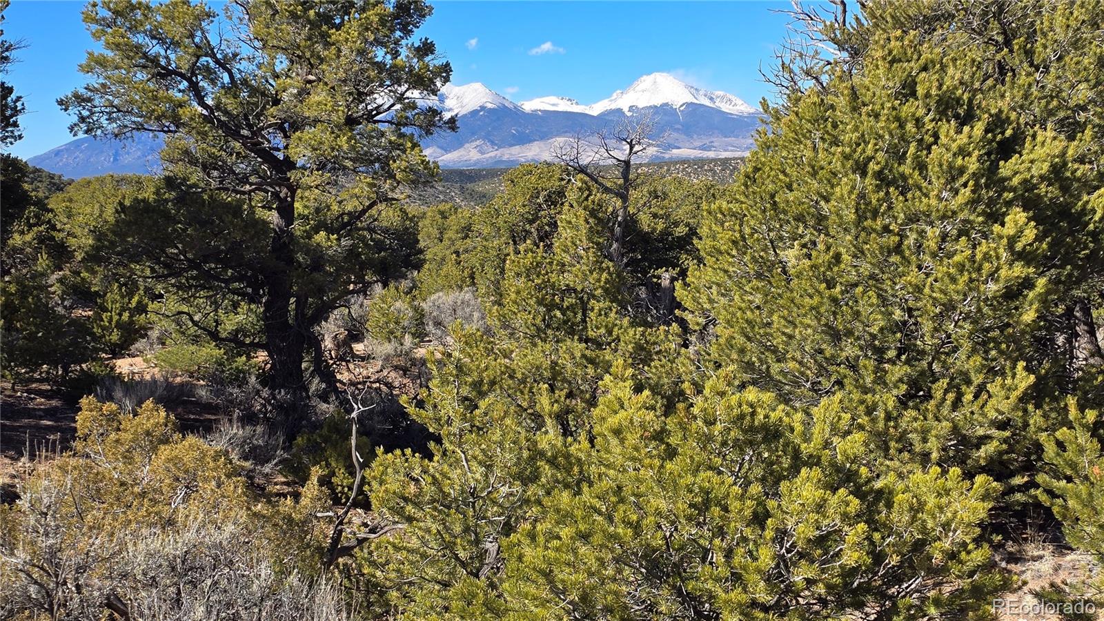 Lot 409 Williams Road Fort Garland CO 81133