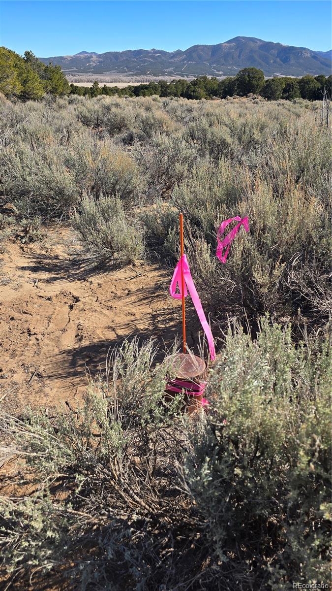 Lot 409 Williams Road Fort Garland CO 81133