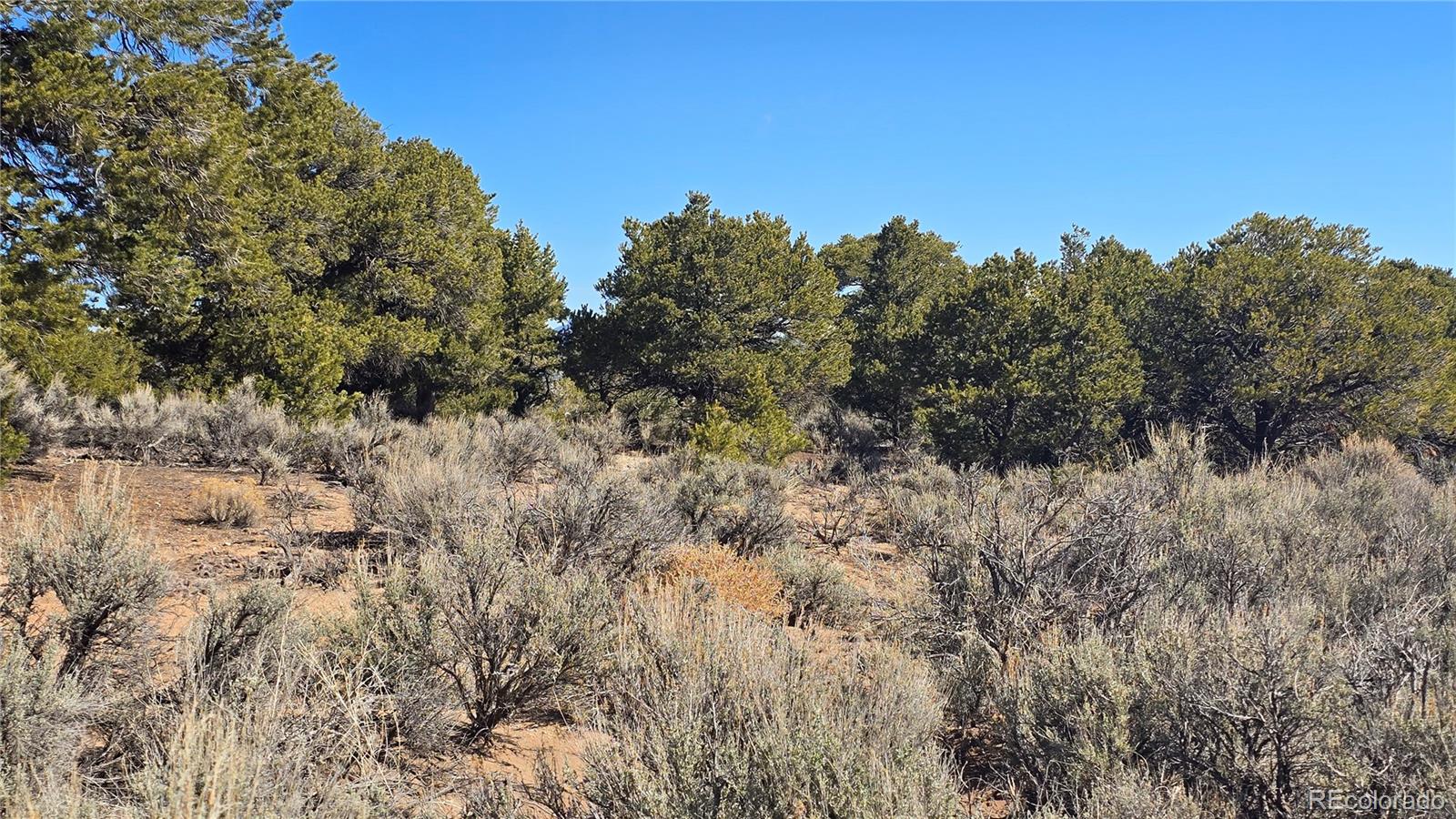 Lot 409 Williams Road Fort Garland CO 81133