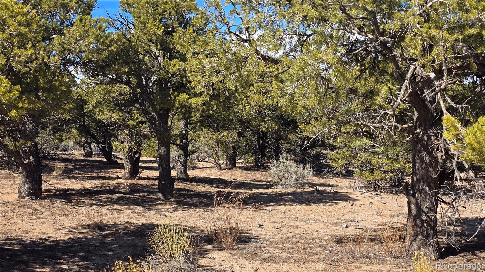 Lot 409 Williams Road Fort Garland CO 81133