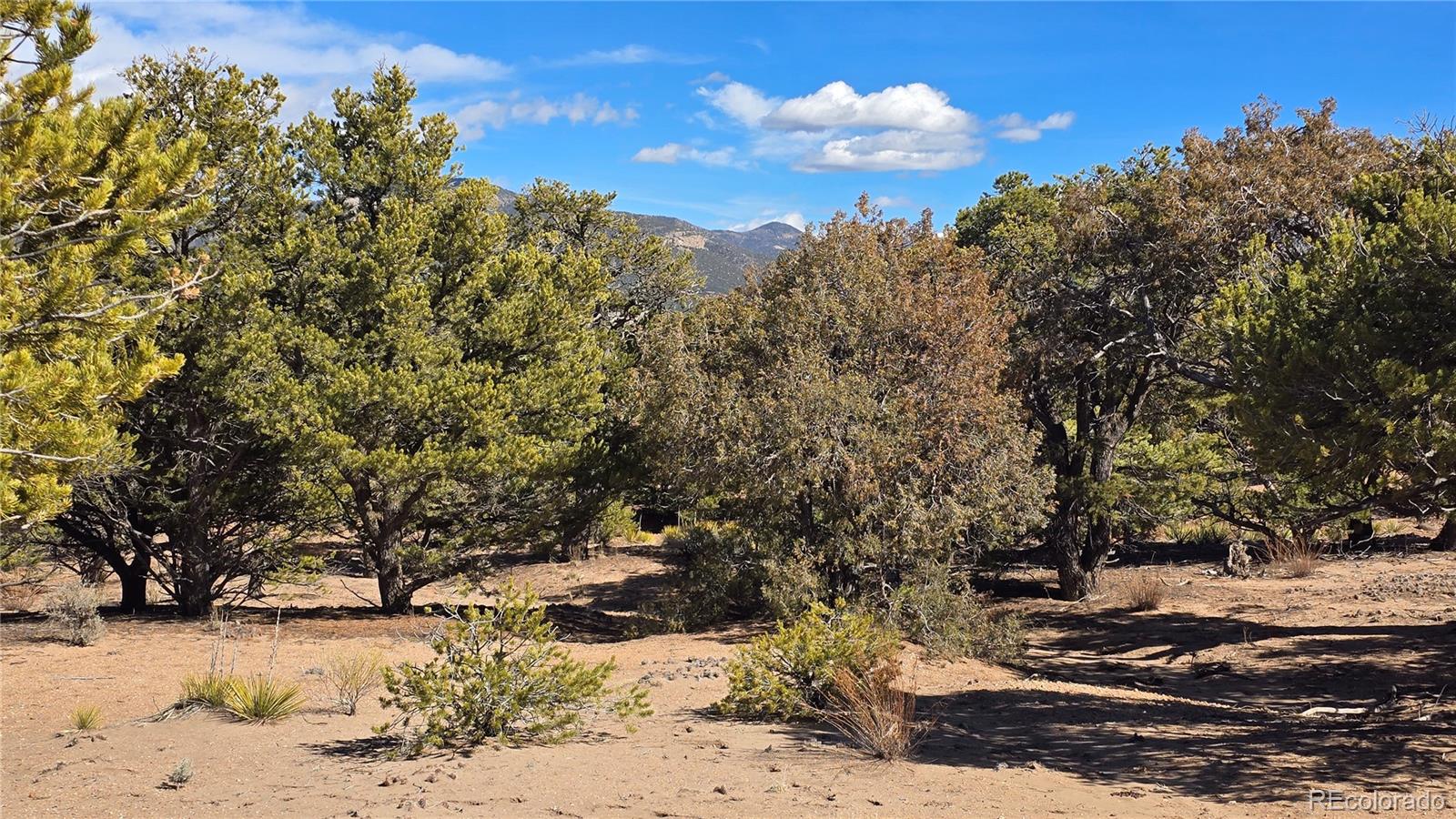 Lot 409 Williams Road Fort Garland CO 81133