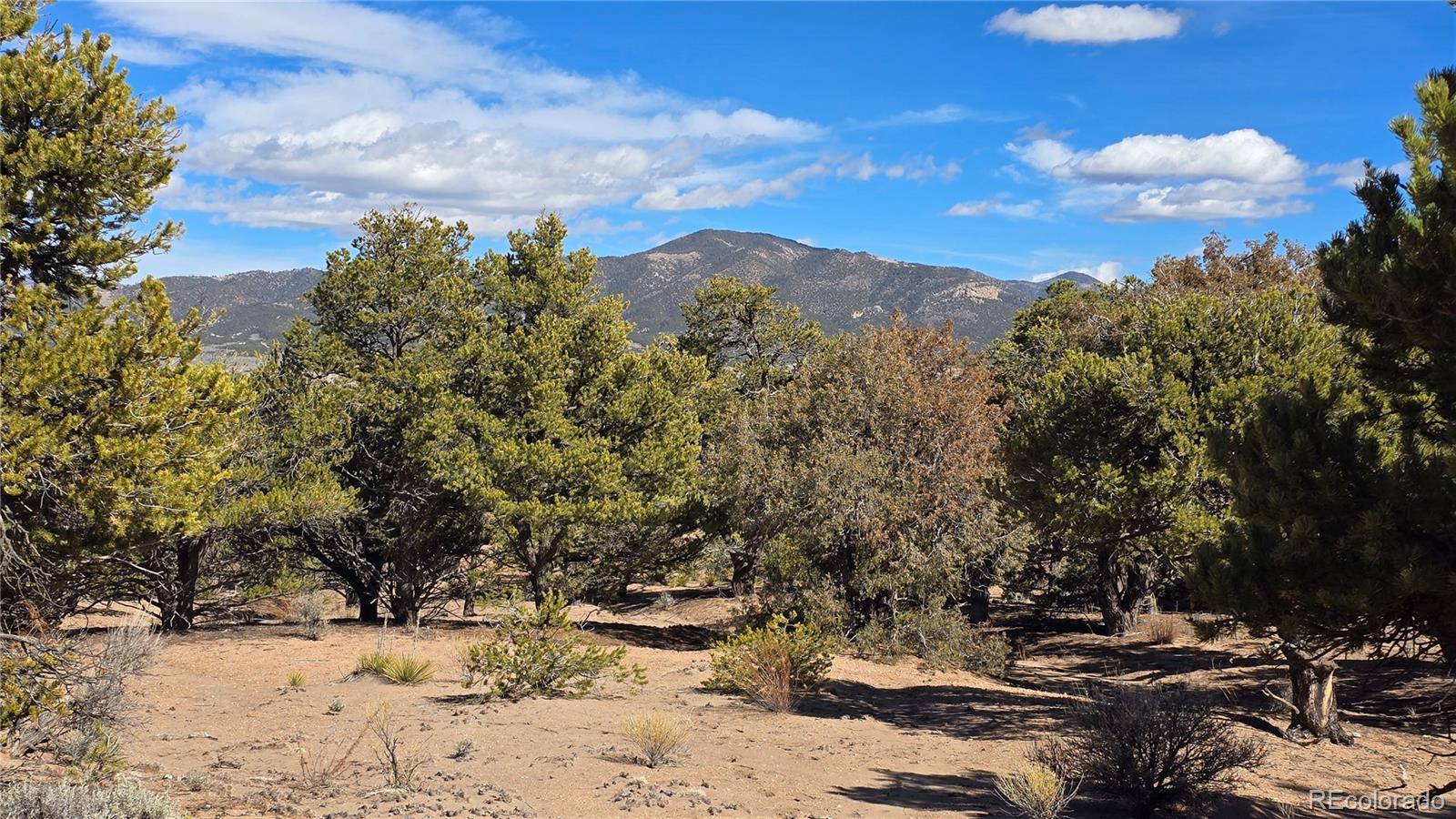 Lot 409 Williams Road Fort Garland CO 81133