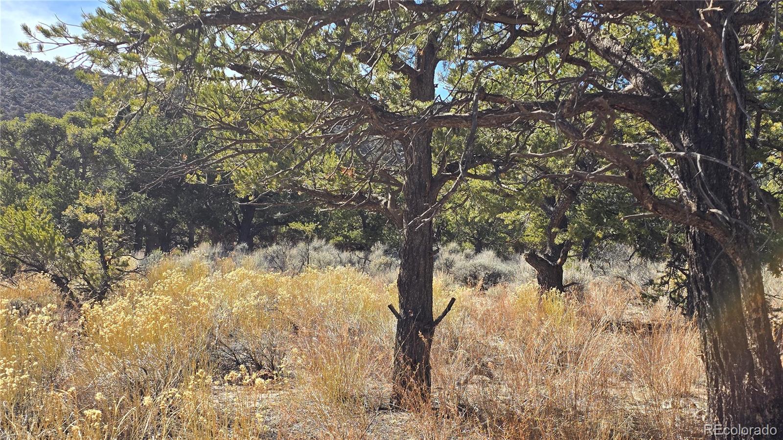 Lot 409 Williams Road Fort Garland CO 81133