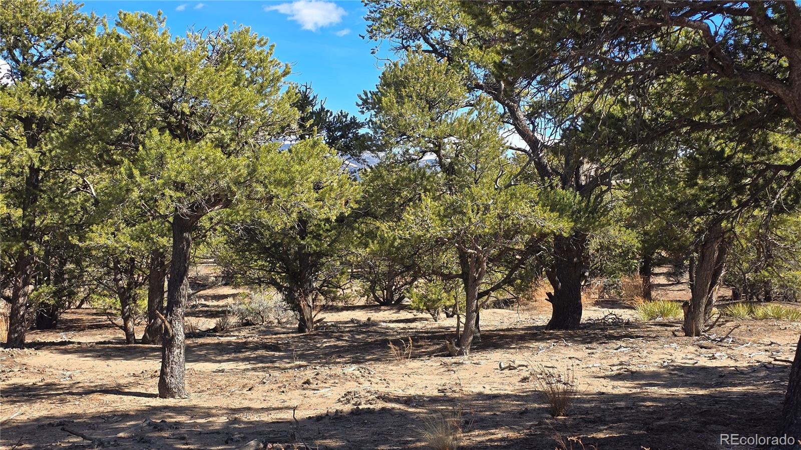 Lot 409 Williams Road Fort Garland CO 81133