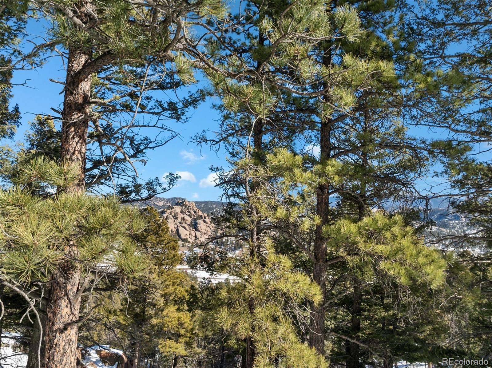 Conifer Circle Florissant CO 80816
