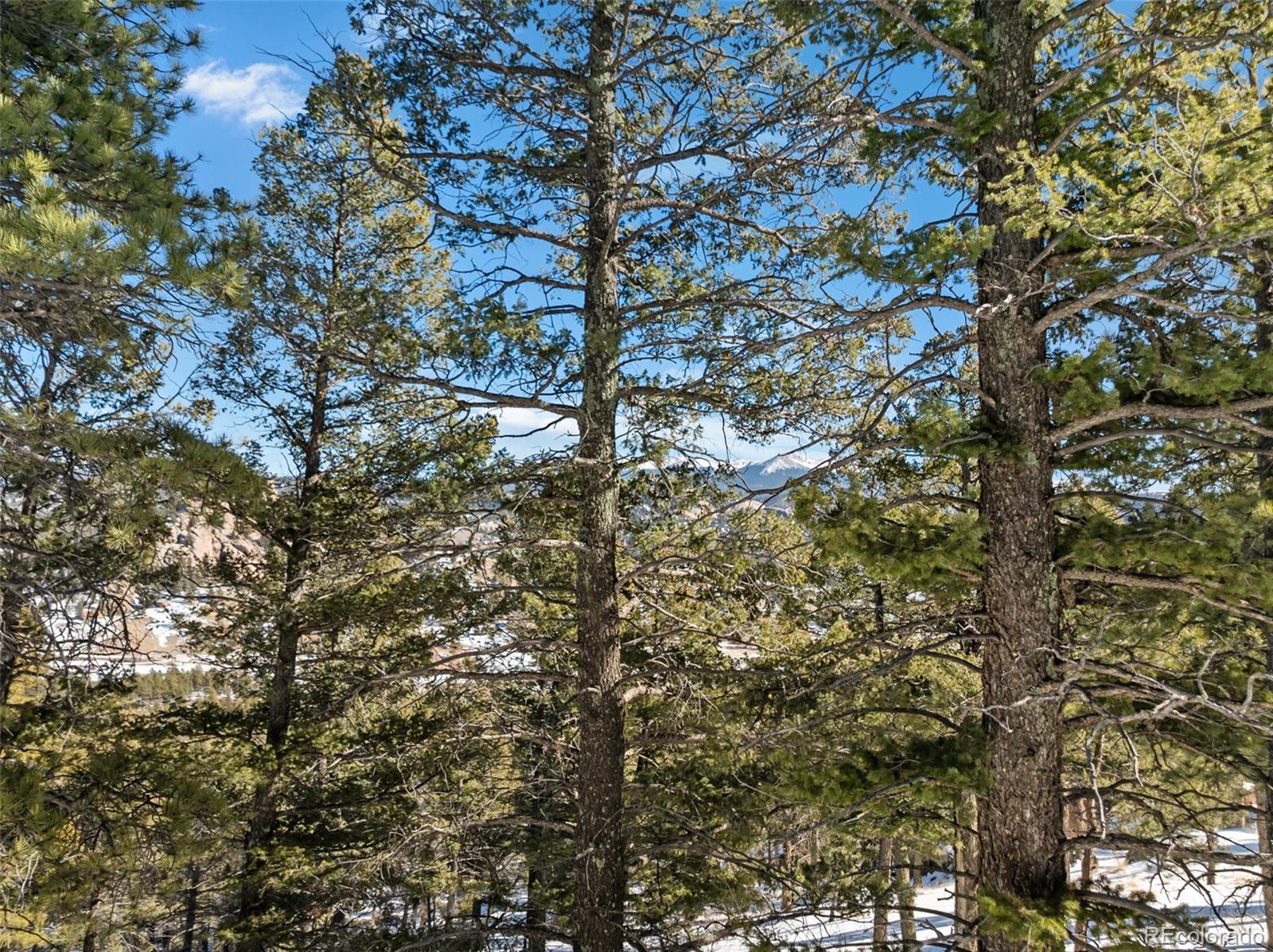Conifer Circle Florissant CO 80816