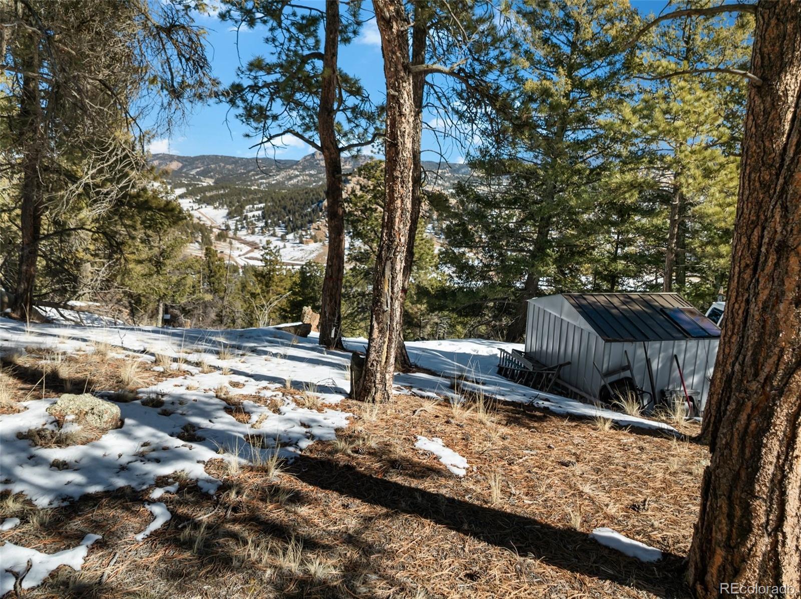 Conifer Circle Florissant CO 80816