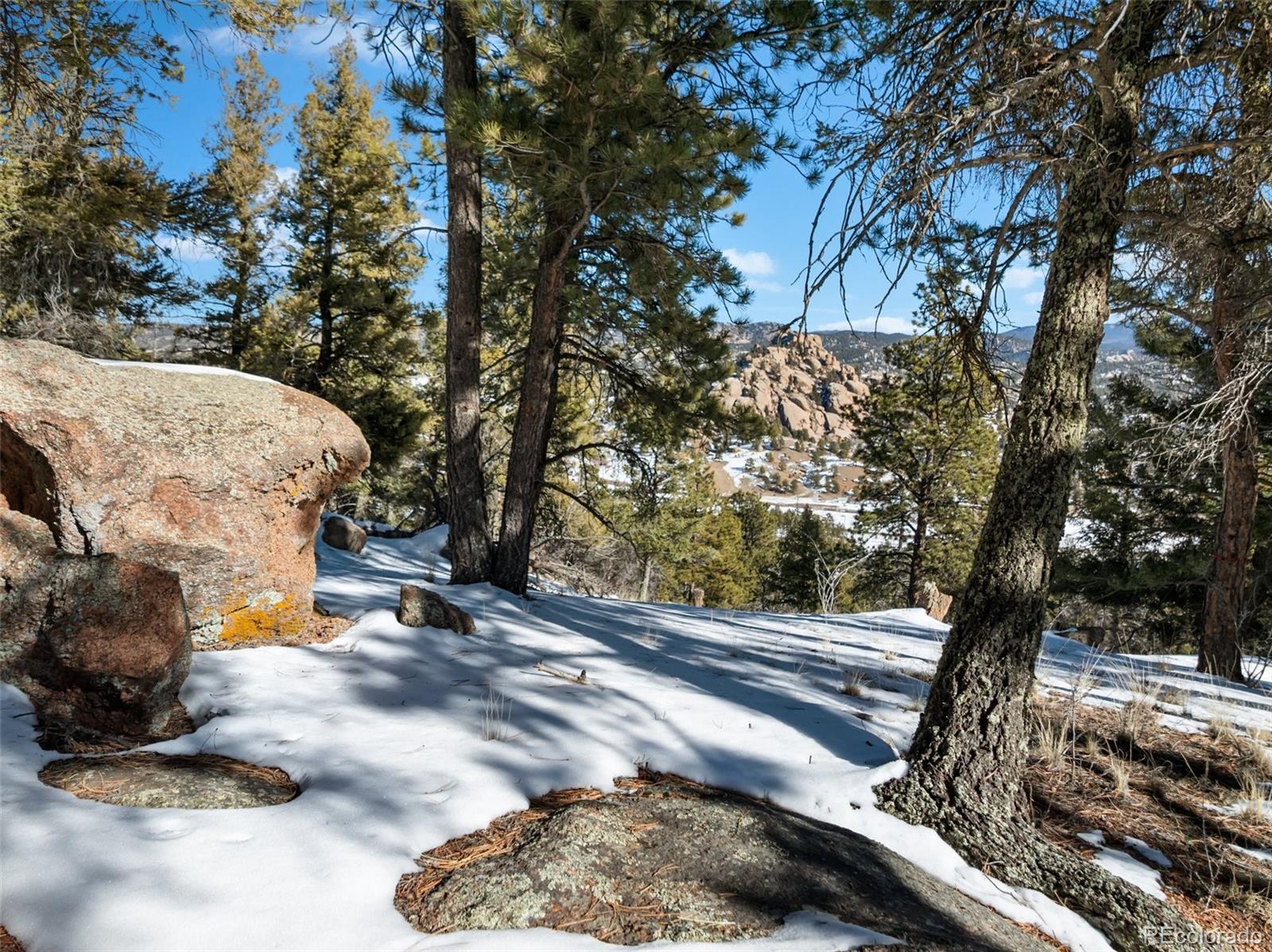Conifer Circle Florissant CO 80816