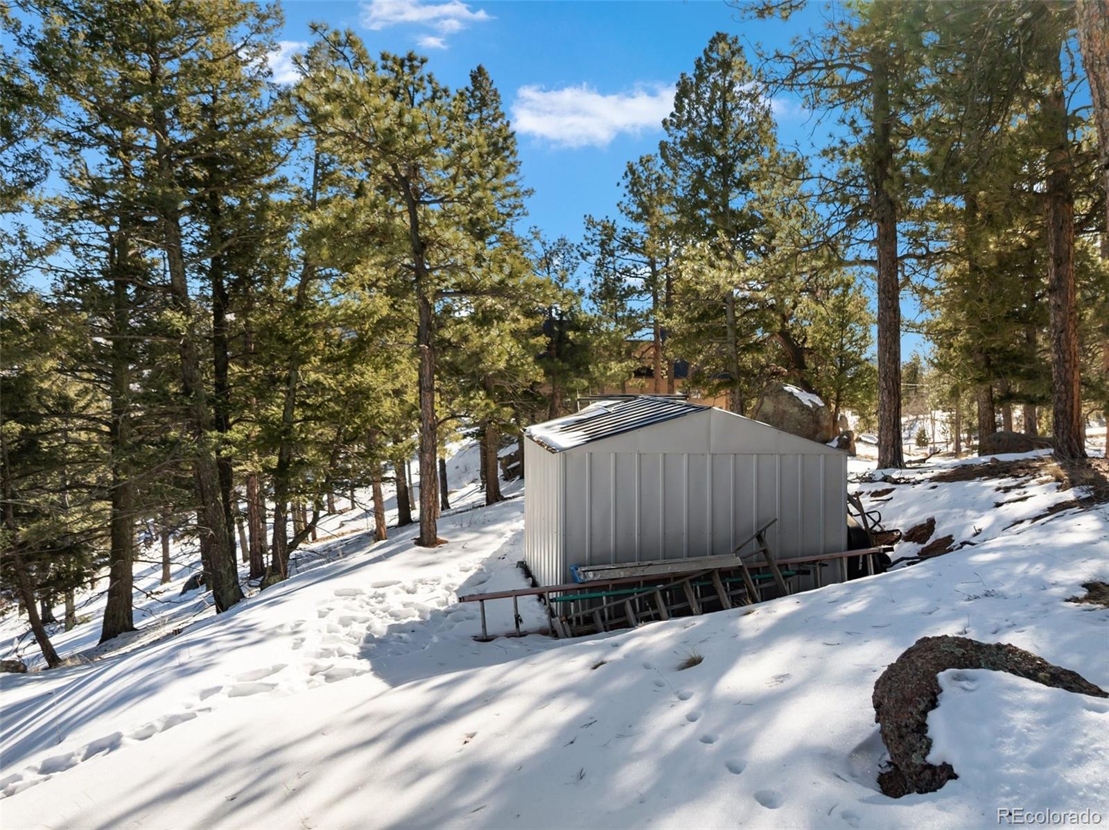 Conifer Circle Florissant CO 80816