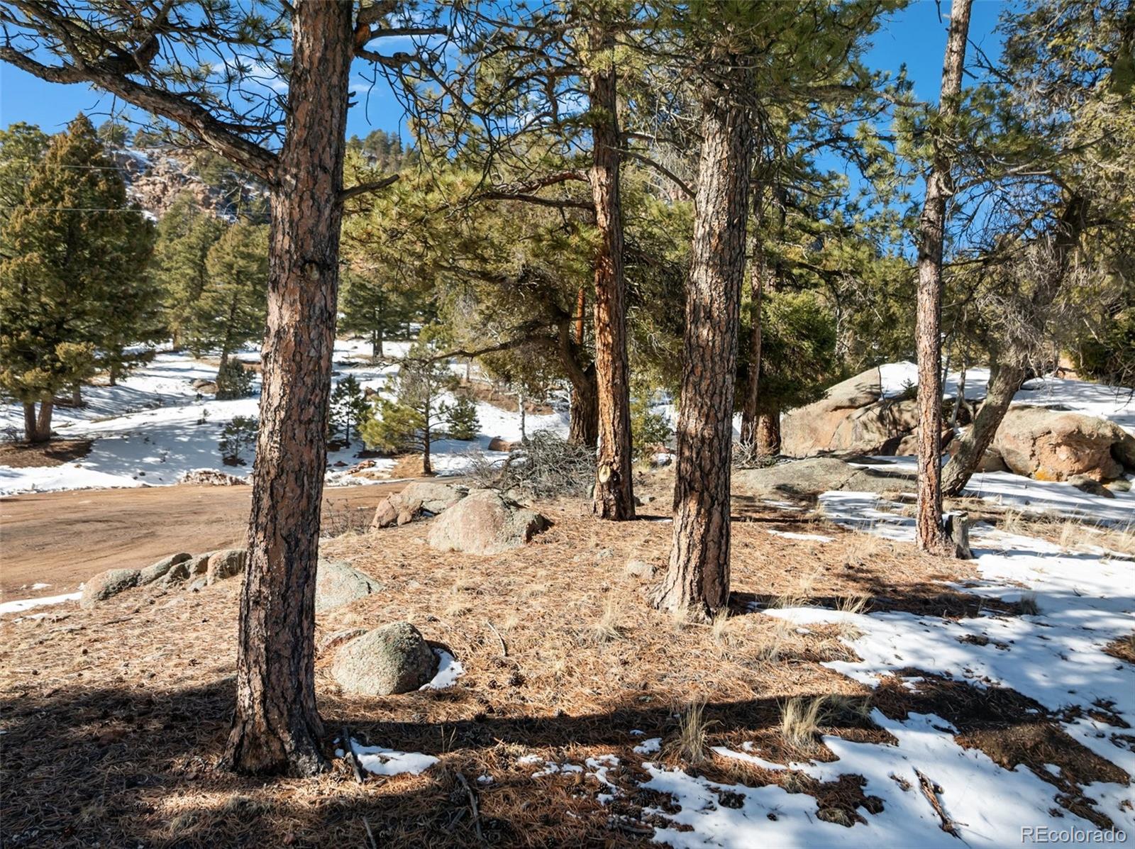 Conifer Circle Florissant CO 80816
