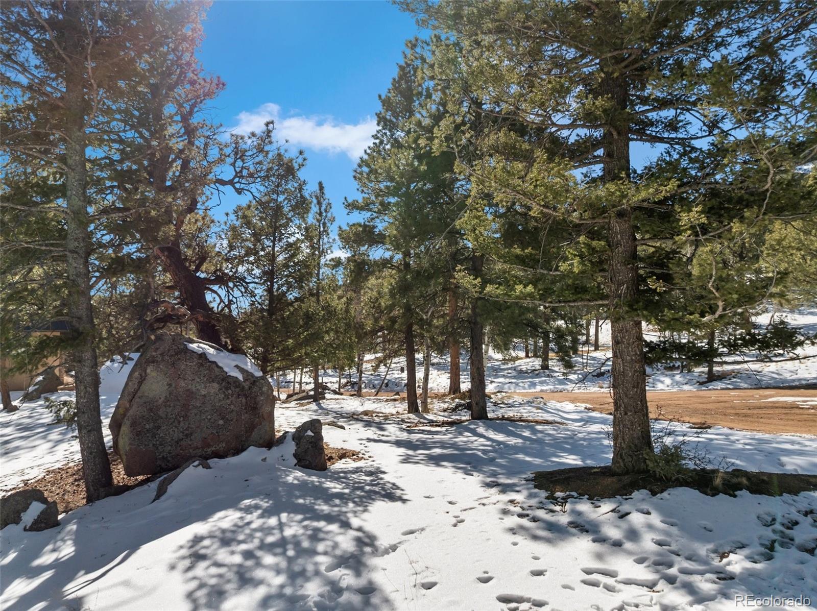 Conifer Circle Florissant CO 80816