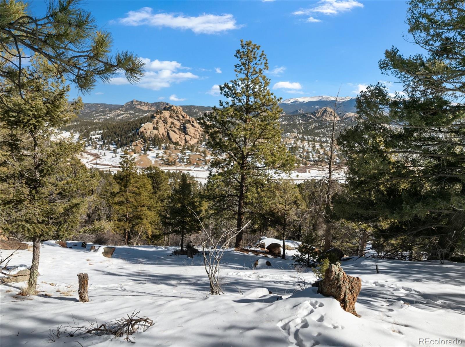 Conifer Circle Florissant CO 80816