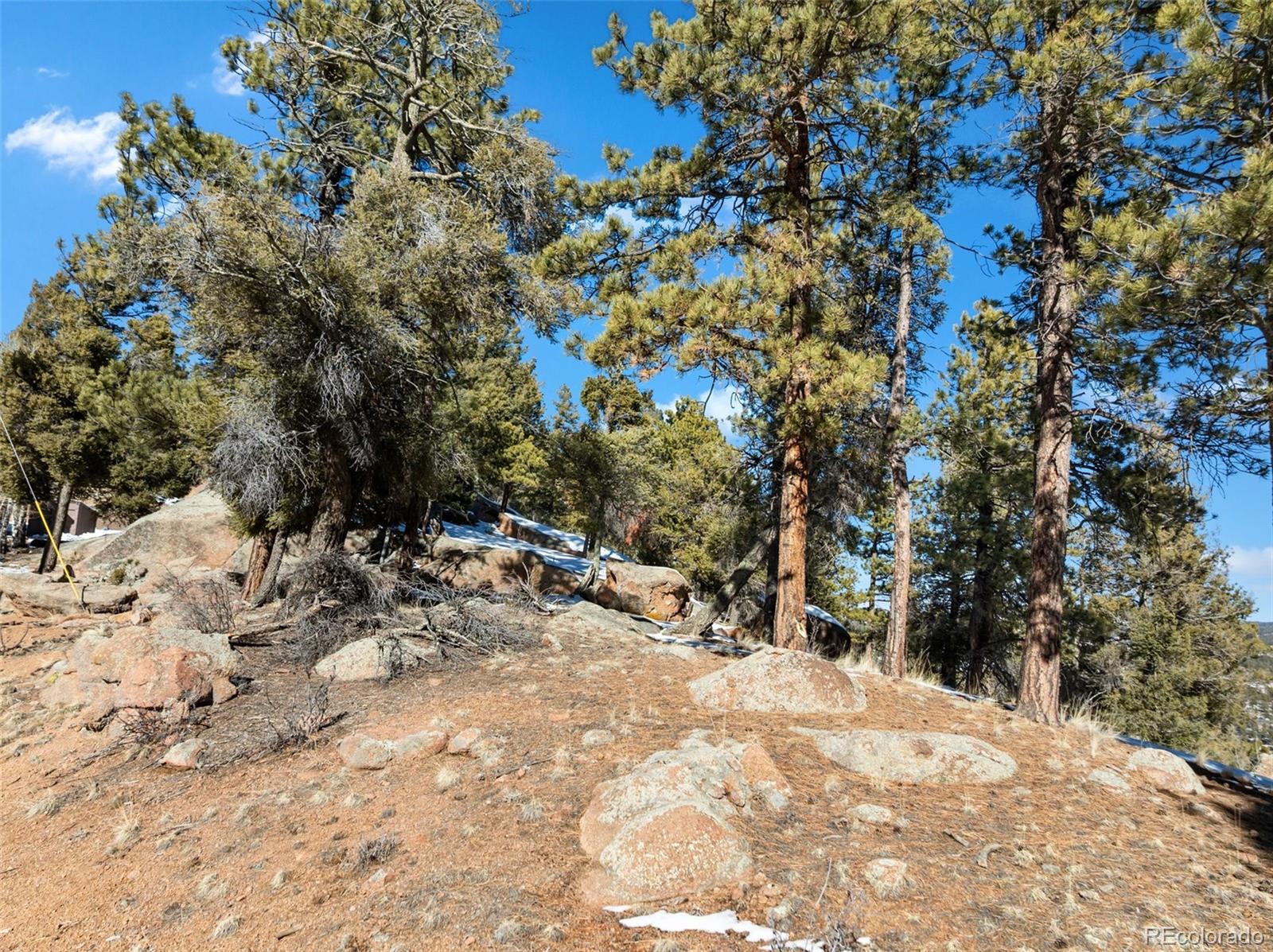 Conifer Circle Florissant CO 80816