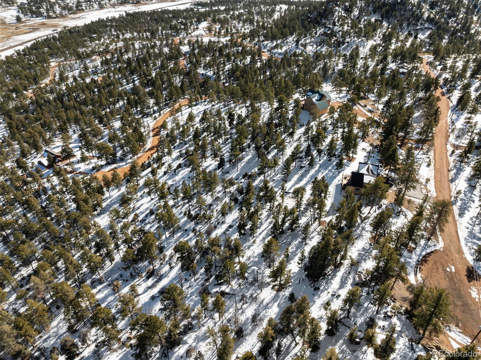 Conifer Circle Florissant CO 80816