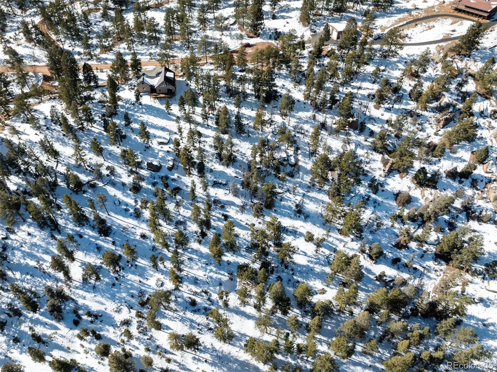 Conifer Circle Florissant CO 80816