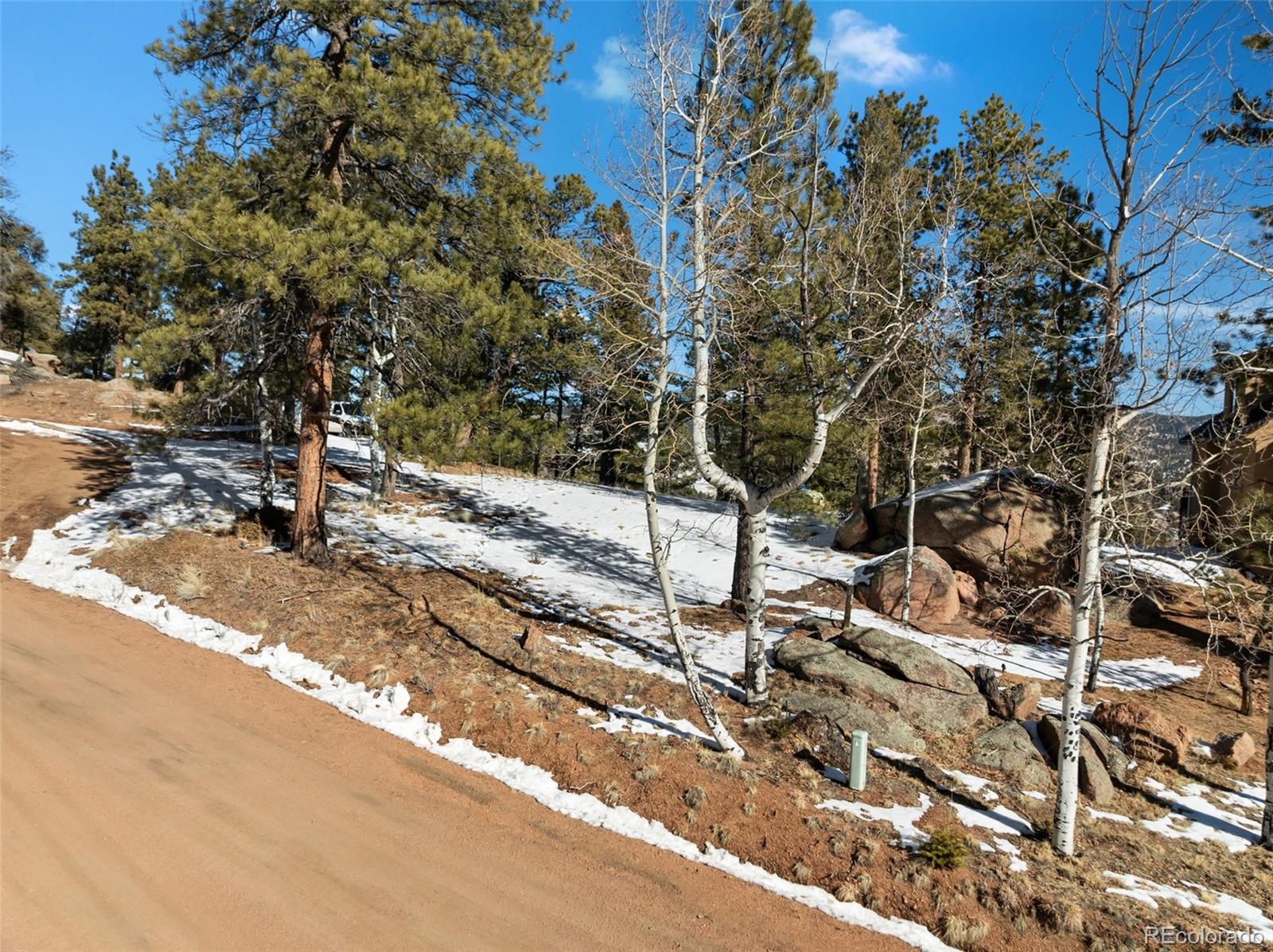 Conifer Circle Florissant CO 80816