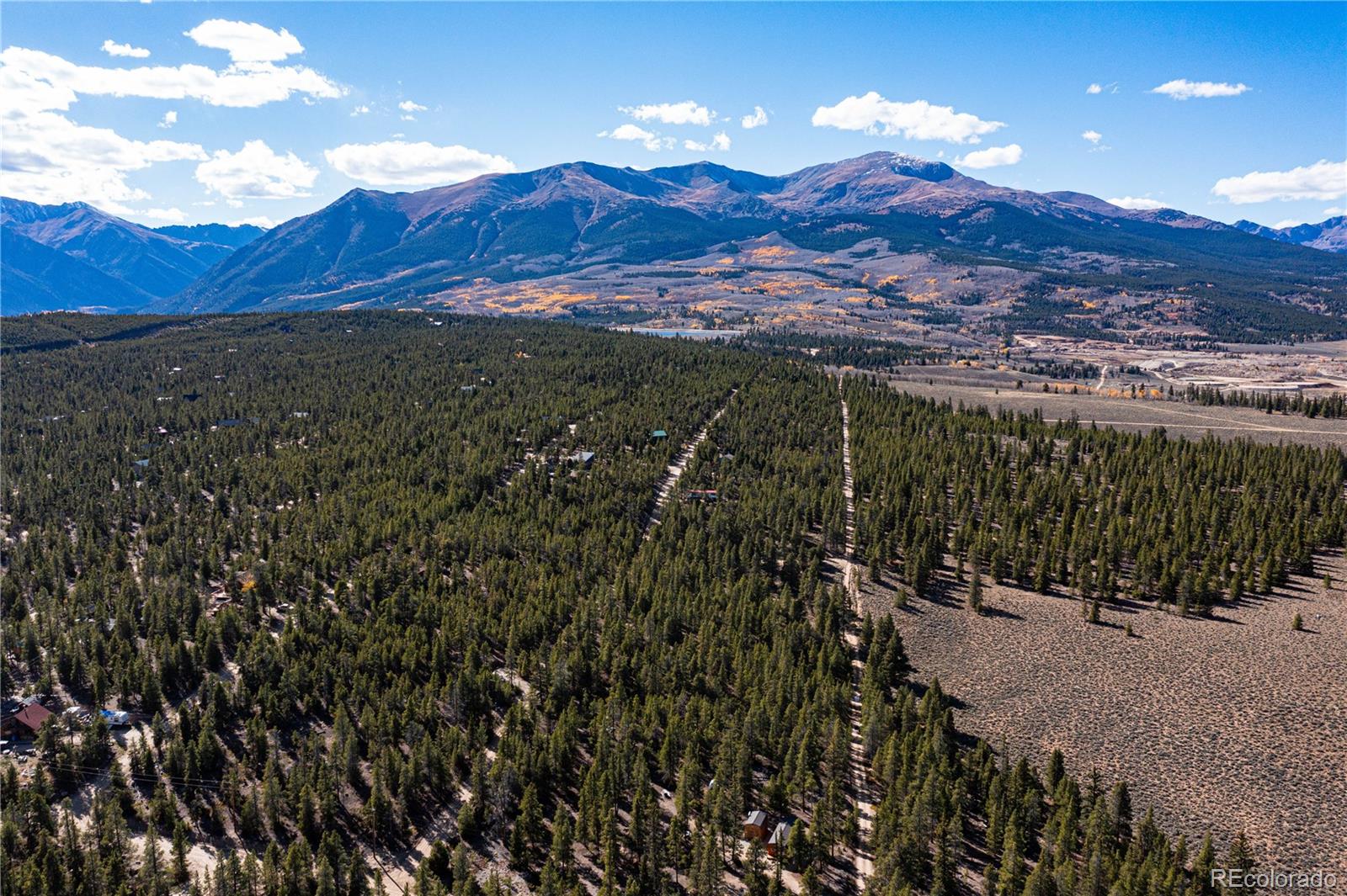 66 Ponderosa Drive Leadville CO 80461