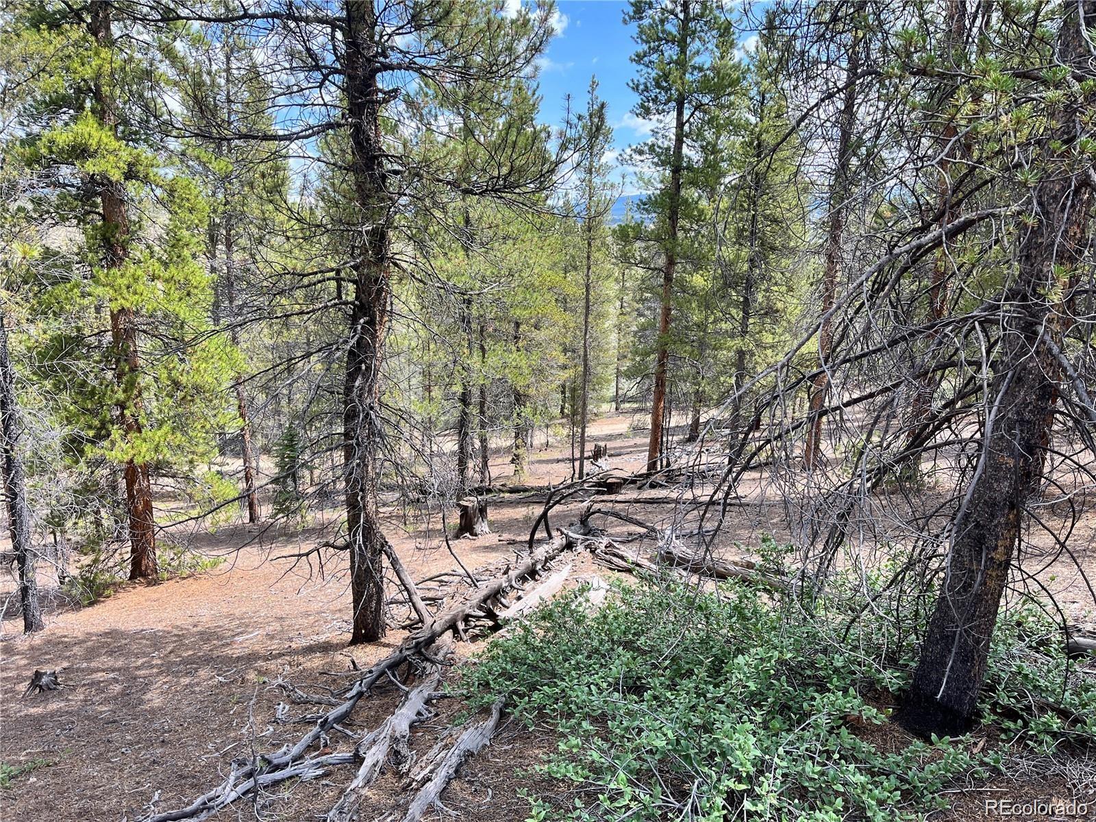 66 Ponderosa Drive Leadville CO 80461