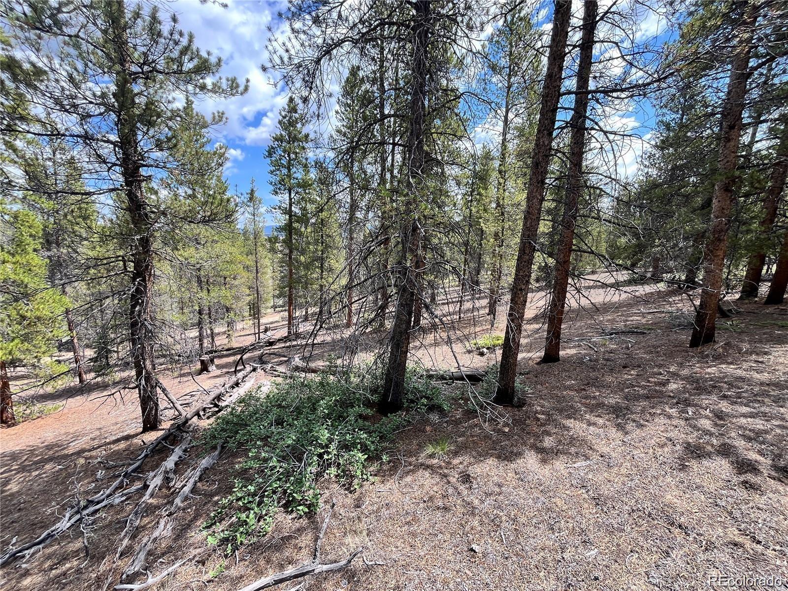 66 Ponderosa Drive Leadville CO 80461