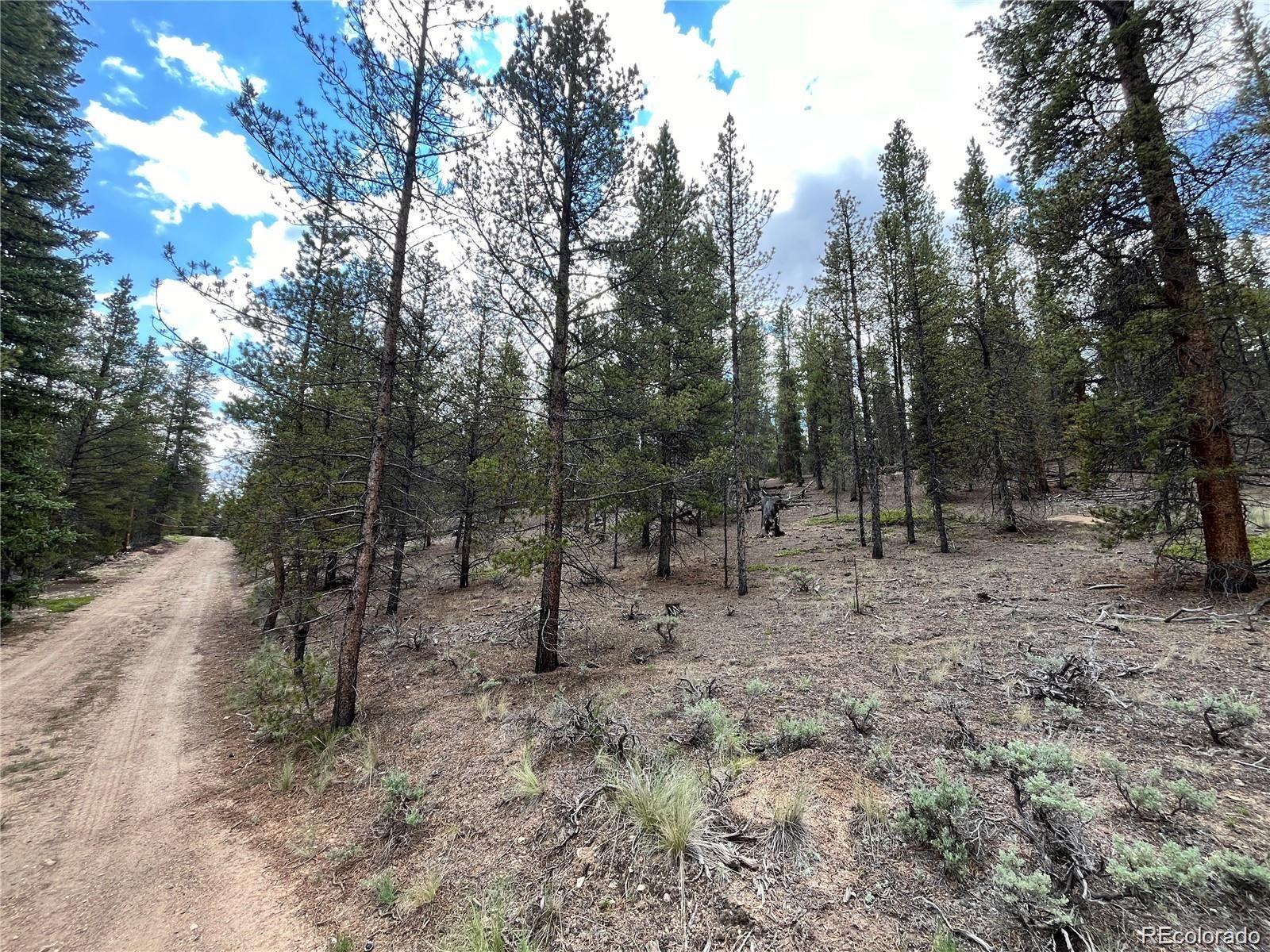 66 Ponderosa Drive Leadville CO 80461