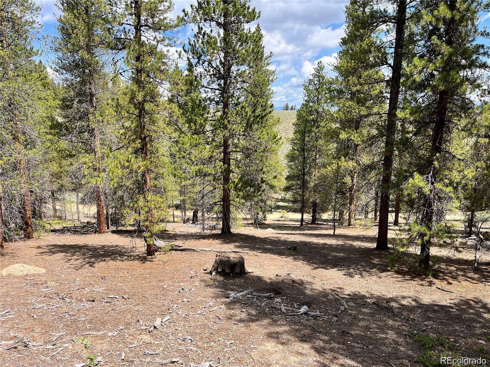 66 Ponderosa Drive Leadville CO 80461