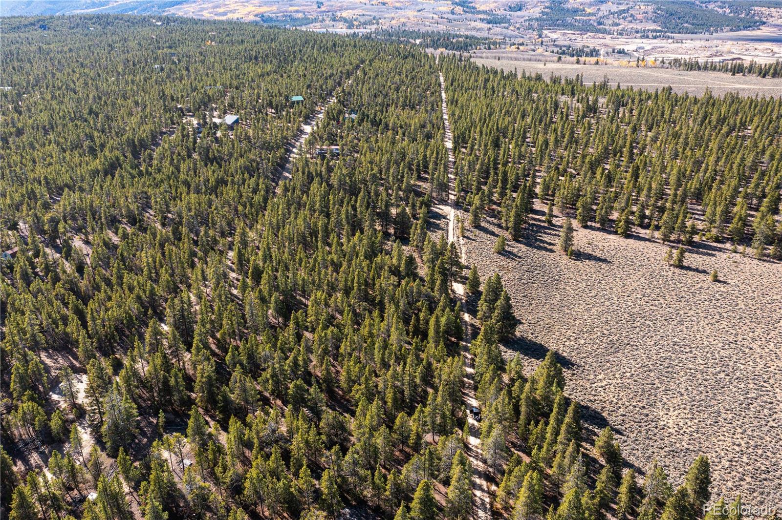 66 Ponderosa Drive Leadville CO 80461