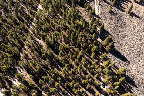 66 Ponderosa Drive Leadville CO 80461