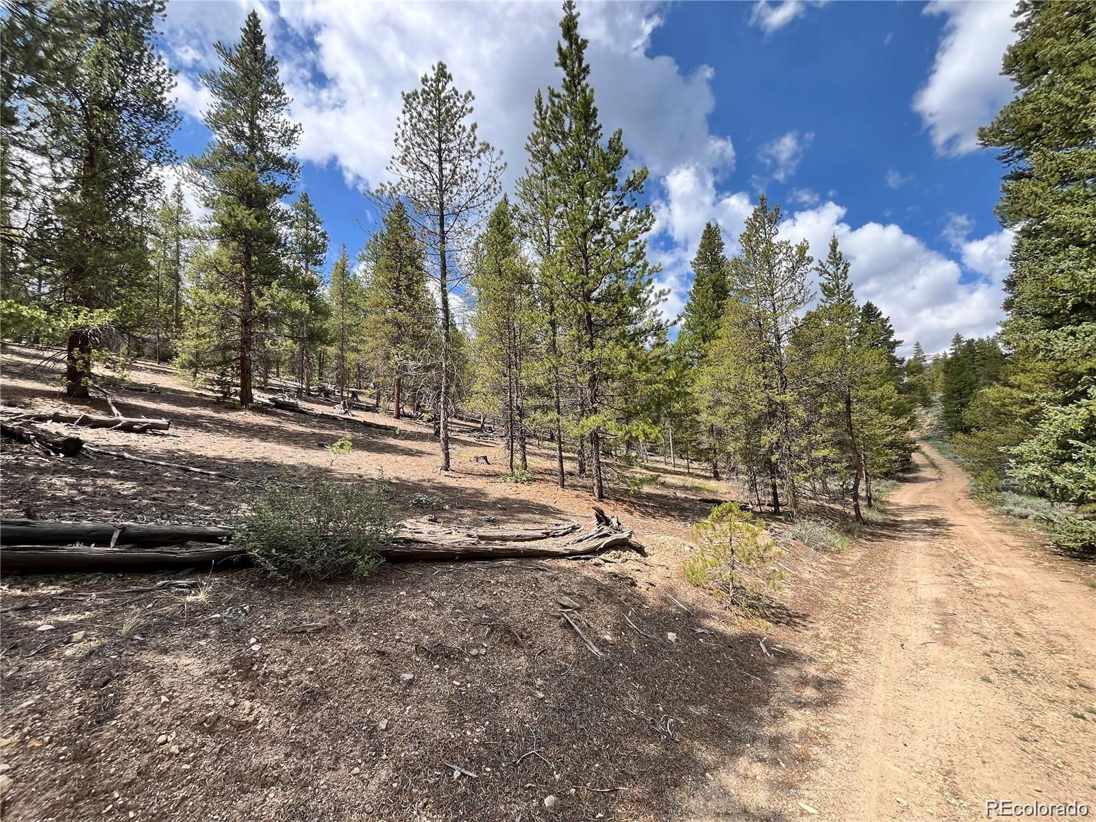 66 Ponderosa Drive Leadville CO 80461