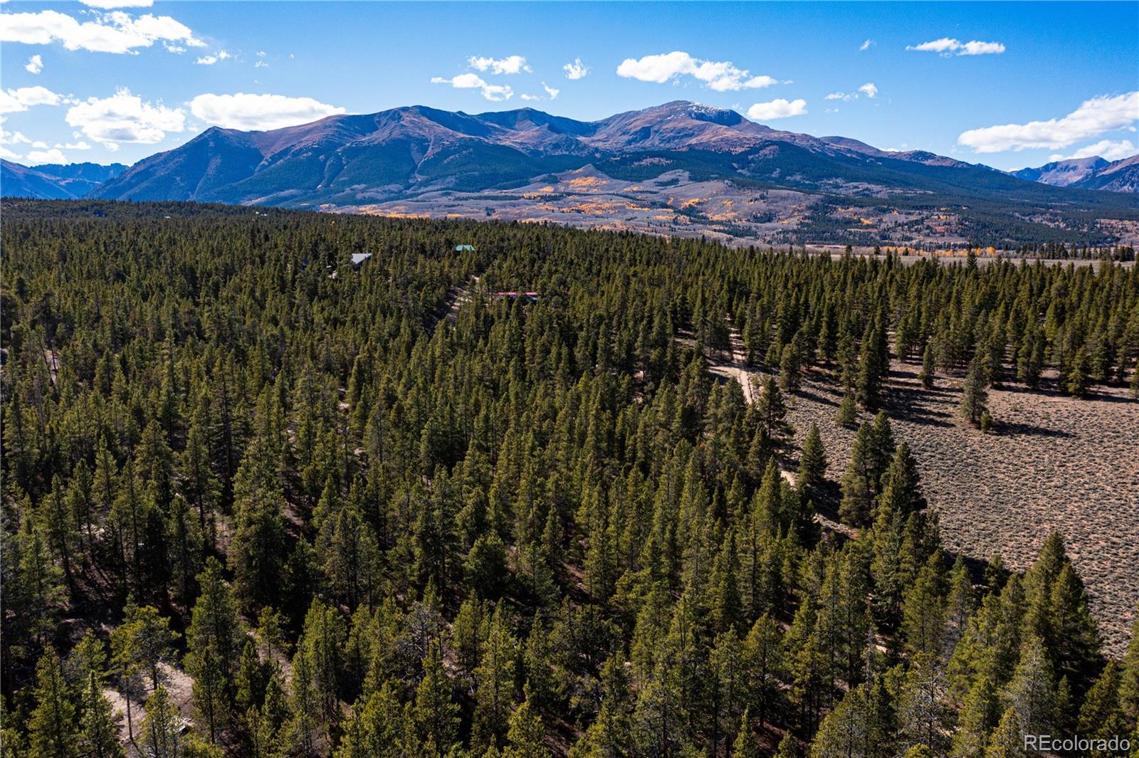 66 Ponderosa Drive Leadville CO 80461