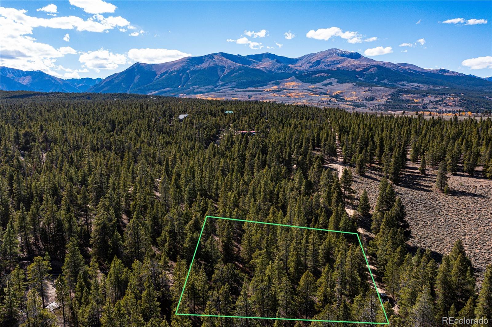 66 Ponderosa Drive Leadville CO 80461