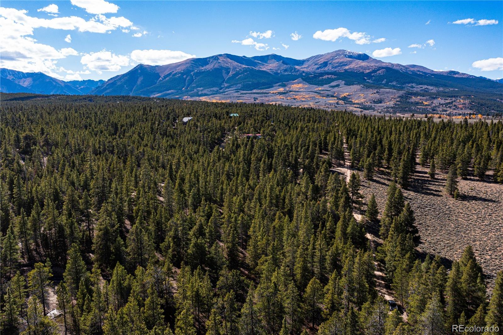 66 Ponderosa Drive Leadville CO 80461
