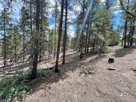 66 Ponderosa Drive Leadville CO 80461