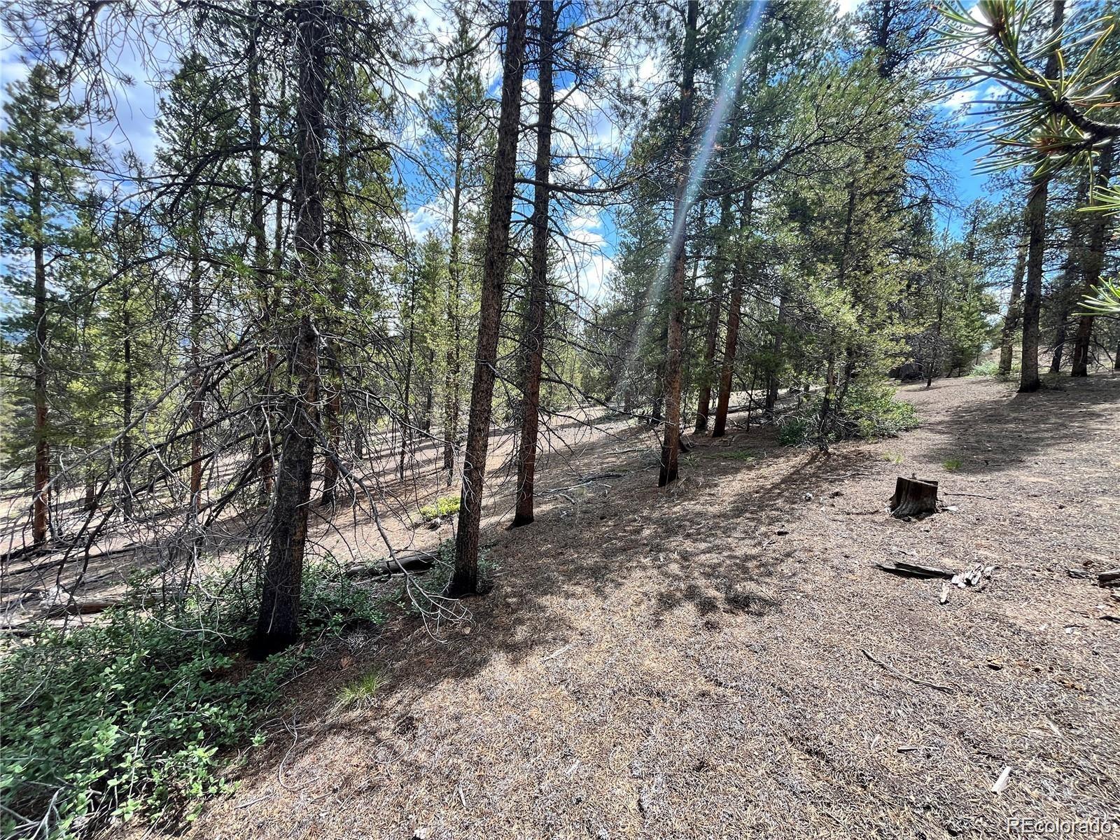 66 Ponderosa Drive Leadville CO 80461