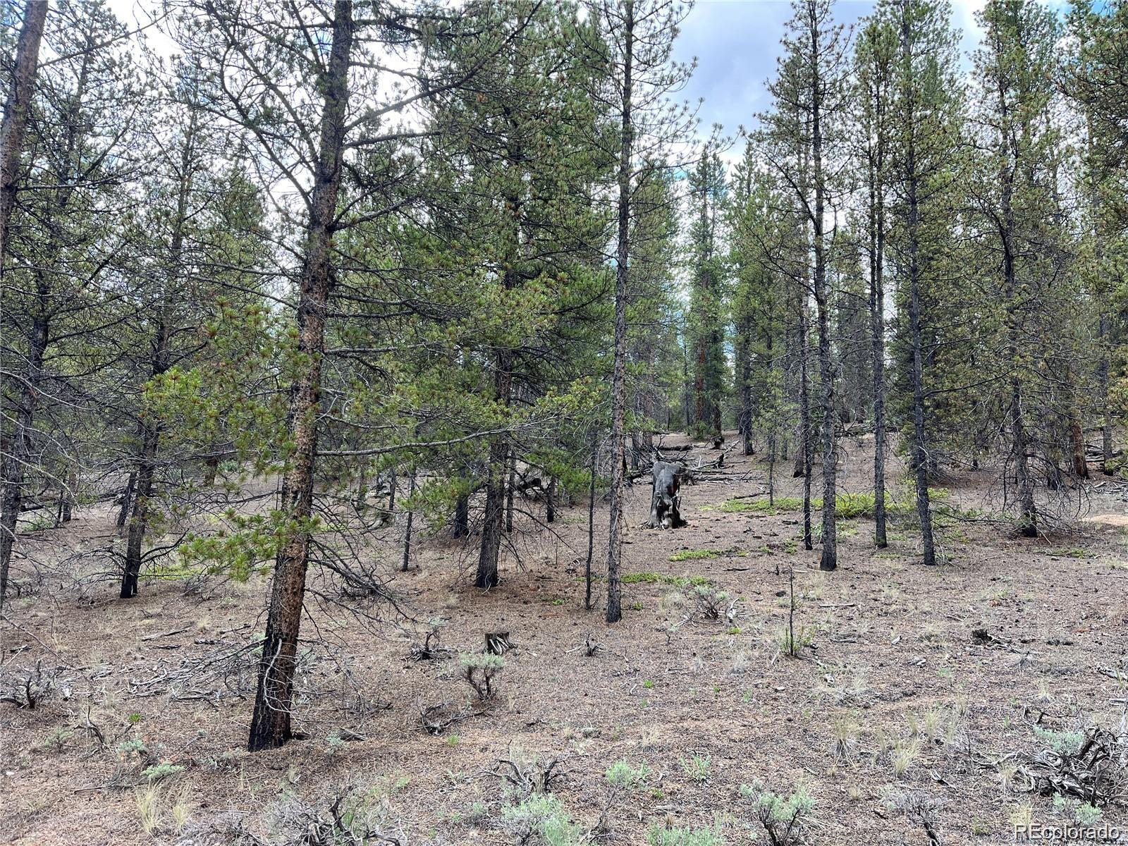 66 Ponderosa Drive Leadville CO 80461
