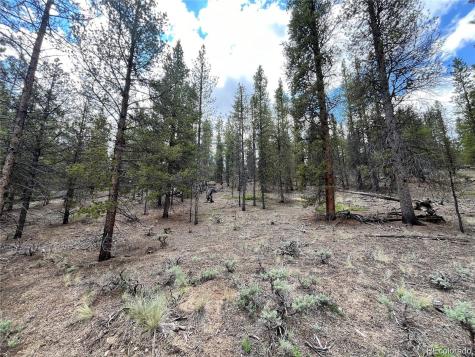 66 Ponderosa Drive Leadville CO 80461