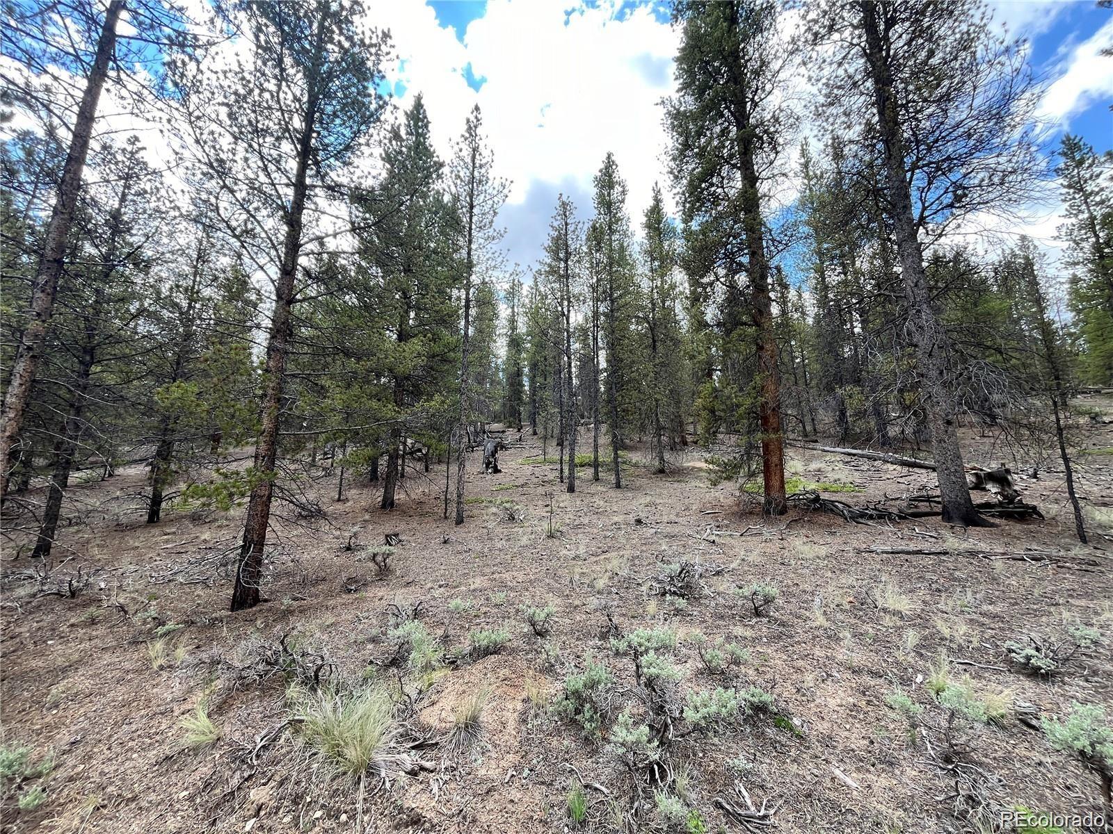 66 Ponderosa Drive Leadville CO 80461