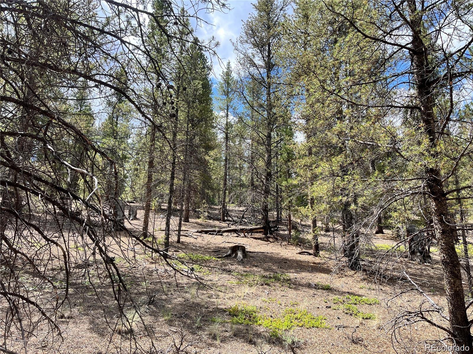 66 Ponderosa Drive Leadville CO 80461