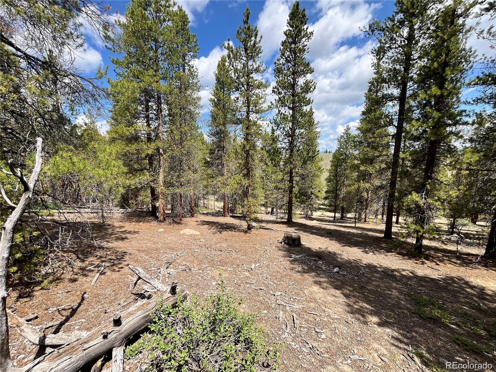 66 Ponderosa Drive Leadville CO 80461
