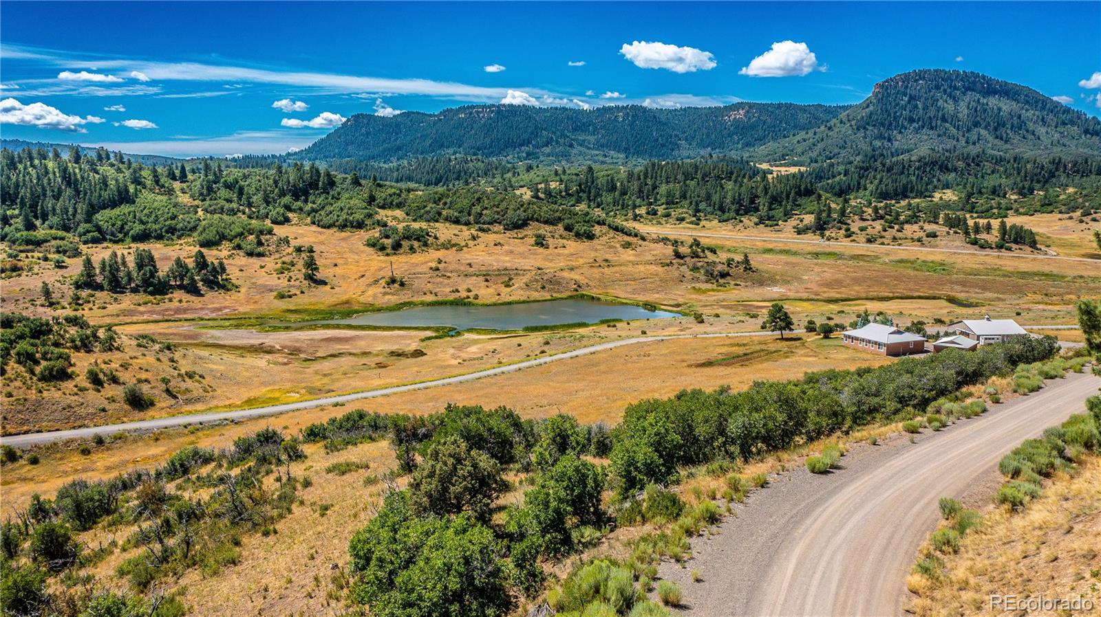 646 Henry's Lake Drive Chromo CO 81128