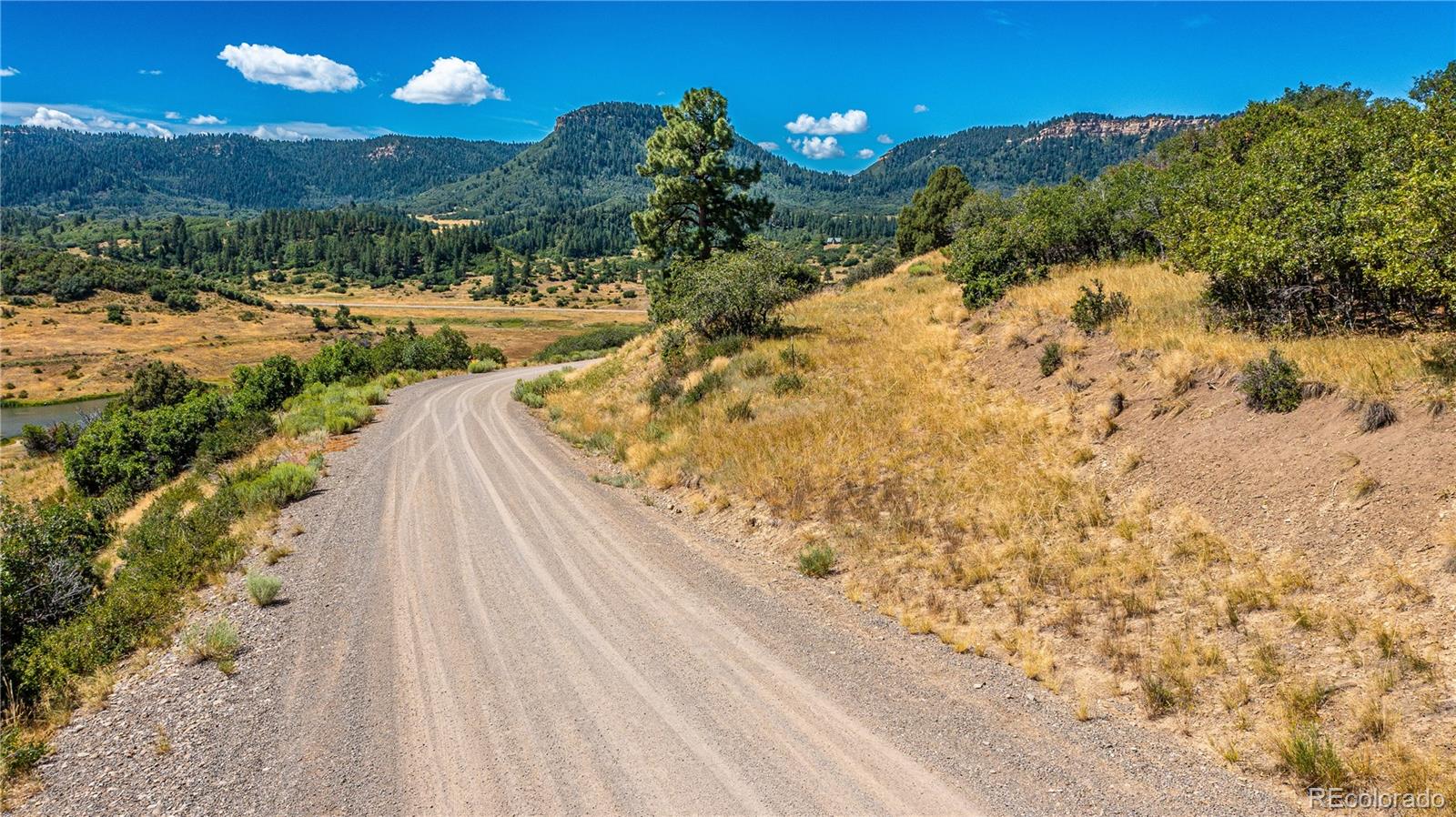 646 Henry's Lake Drive Chromo CO 81128
