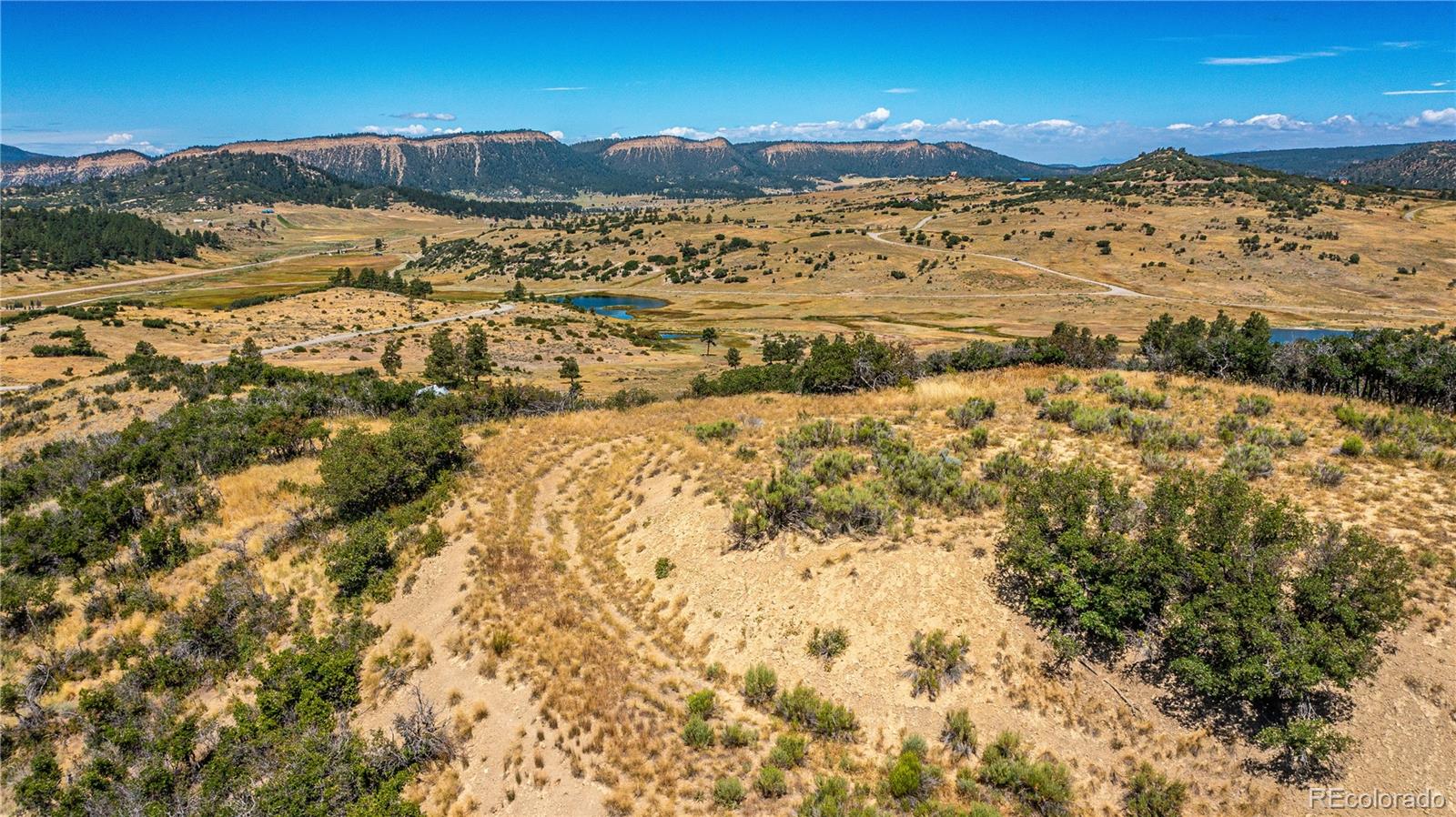 646 Henry's Lake Drive Chromo CO 81128